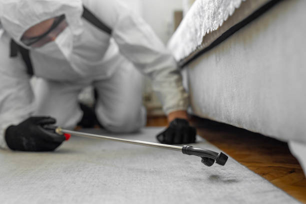 Professional Wasp Control technician working in Port Washington North, NY